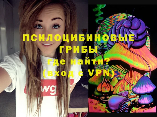 apvp Абаза